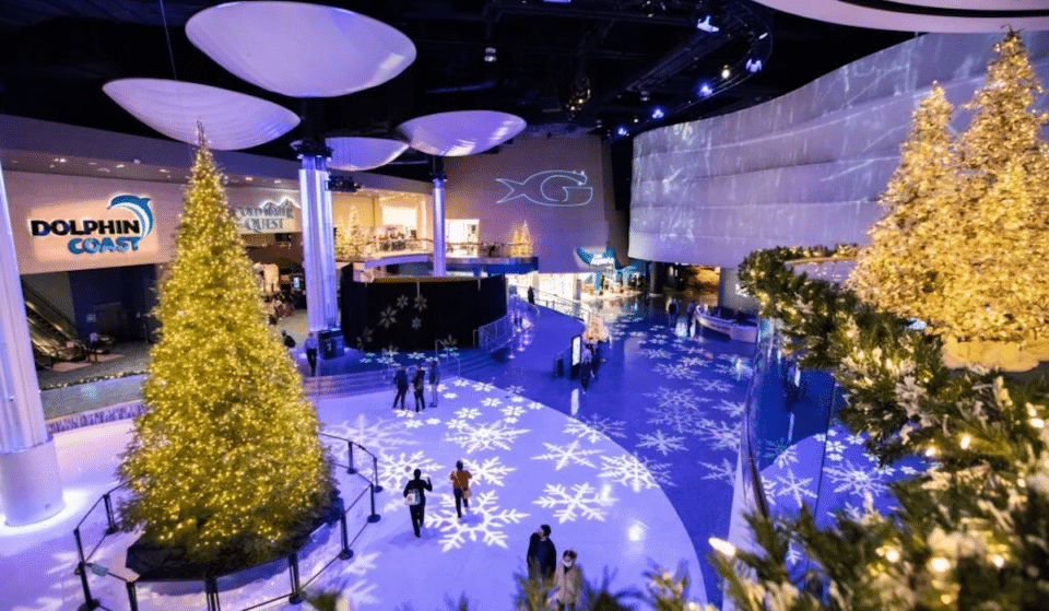 The Georgia Aquarium Is Decked Out For The Holiday Sea-son