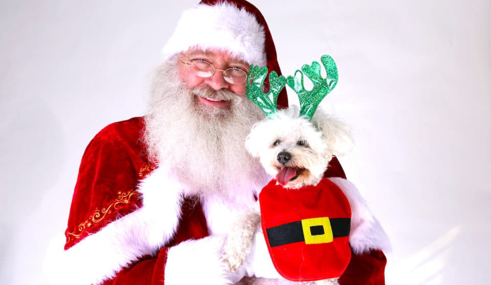 Get Adorable Photos With Santa… For Your Pet!